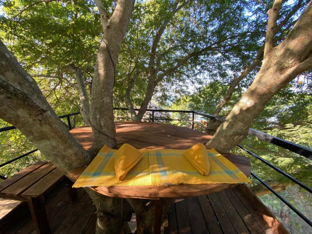 Yala Lake View Cabanas Tissamaharama Exteriör bild