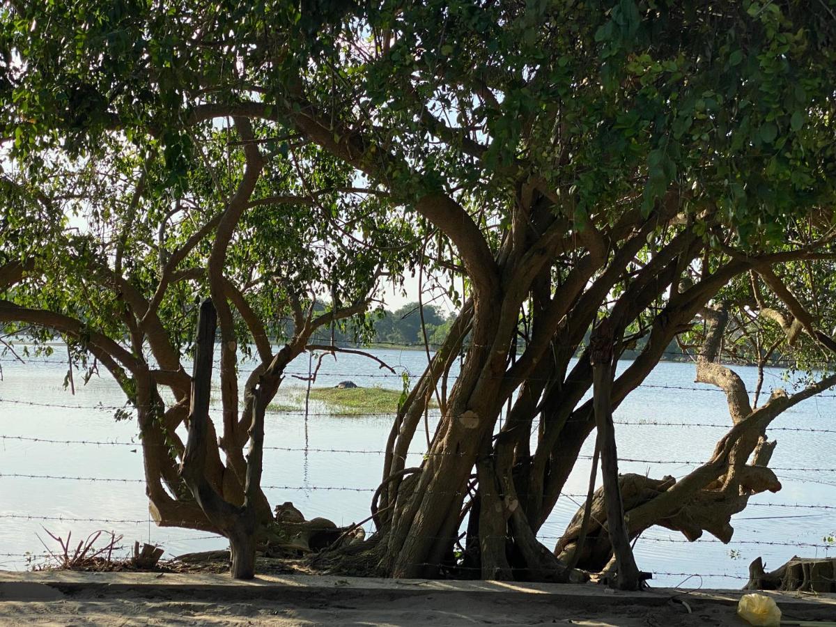 Yala Lake View Cabanas Tissamaharama Exteriör bild