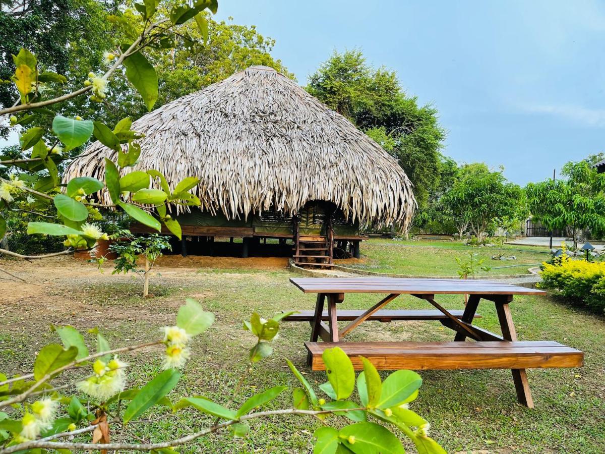 Yala Lake View Cabanas Tissamaharama Exteriör bild