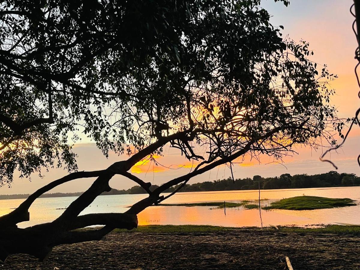 Yala Lake View Cabanas Tissamaharama Exteriör bild