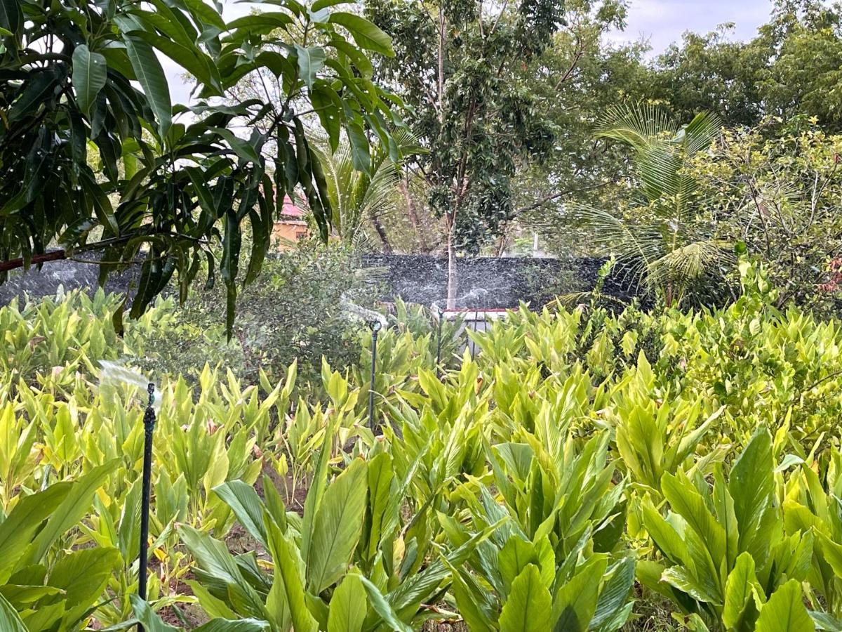 Yala Lake View Cabanas Tissamaharama Exteriör bild