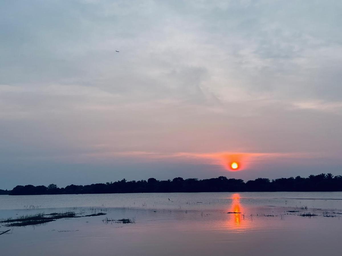 Yala Lake View Cabanas Tissamaharama Exteriör bild